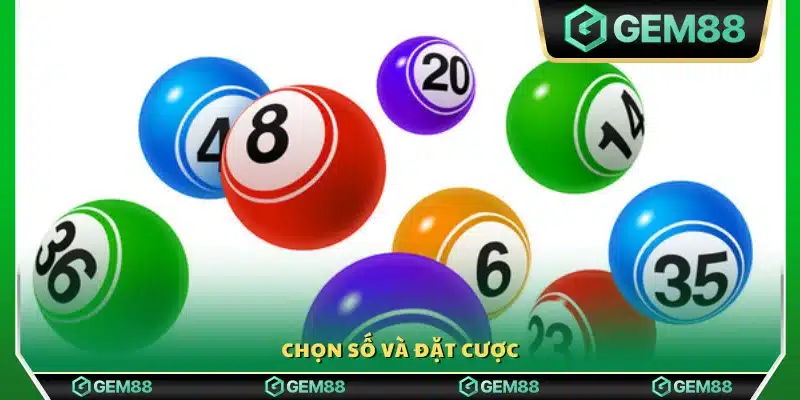 Chọn dãy số mong muốn rồi xác nhận cược